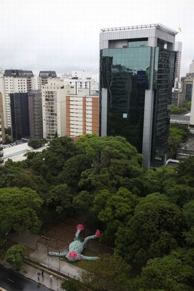 Толстая обезьяна в Сан Паулу