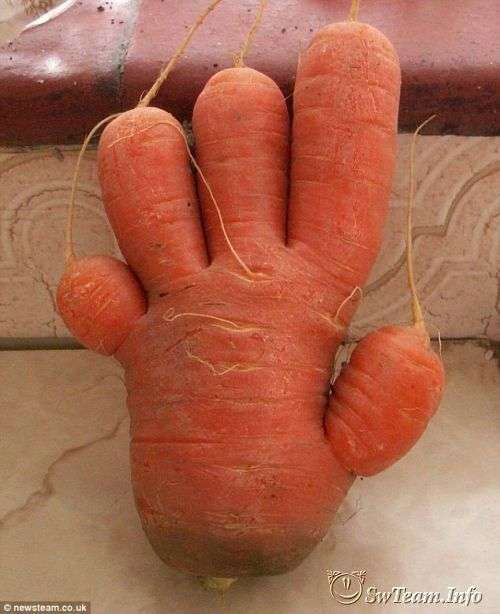 прикольная морковка